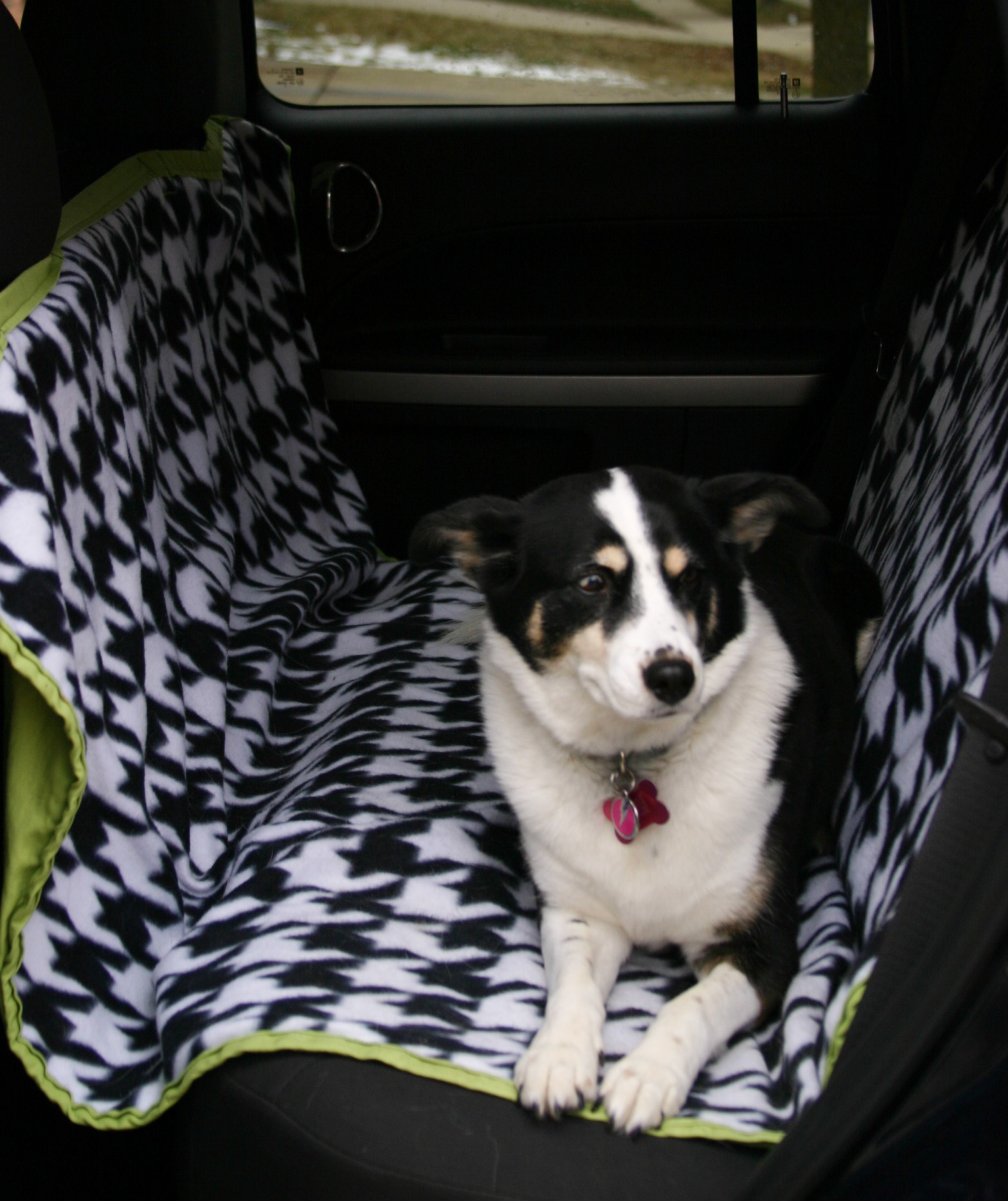 Sewing Pattern: Car Seat Hammock for Dogs – EARTHeim Landscape Design  Lexington Kentucky