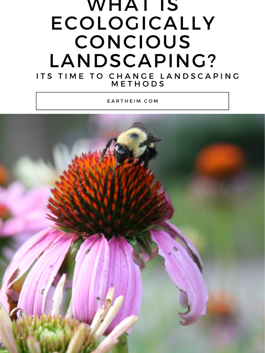 What is Ecologically Conscious Landscaping?