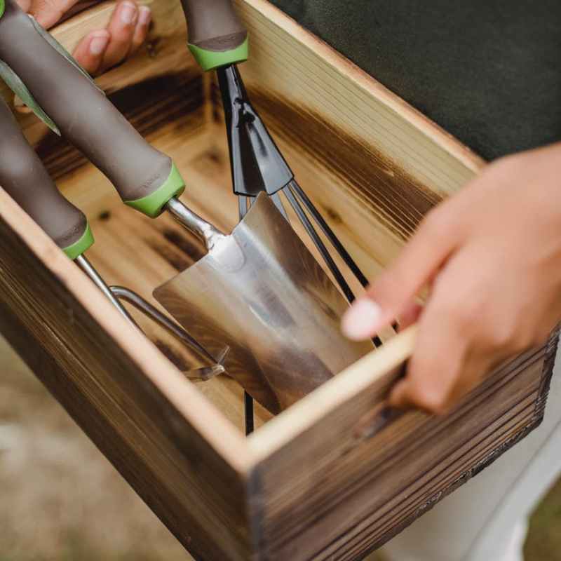 Product Review: The 6 basic gardening tools you need