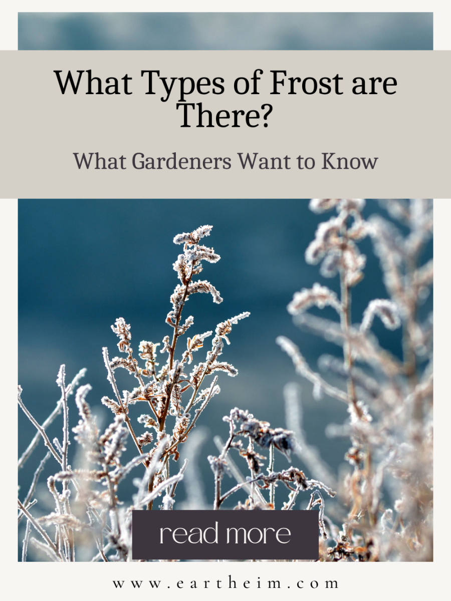 What Types of Frost Are There?